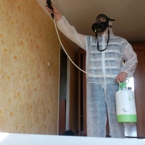 Уничтожение тараканов в квартире – цена в Ижевске