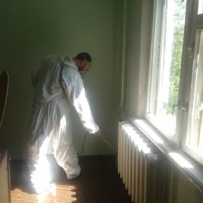 Уничтожить тараканов в квартире в Ижевске