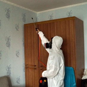 Борьба с клопами в домашних условиях – Ижевск