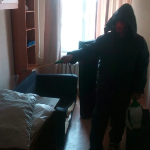 Уничтожение тараканов в квартире с гарантией в Ижевске