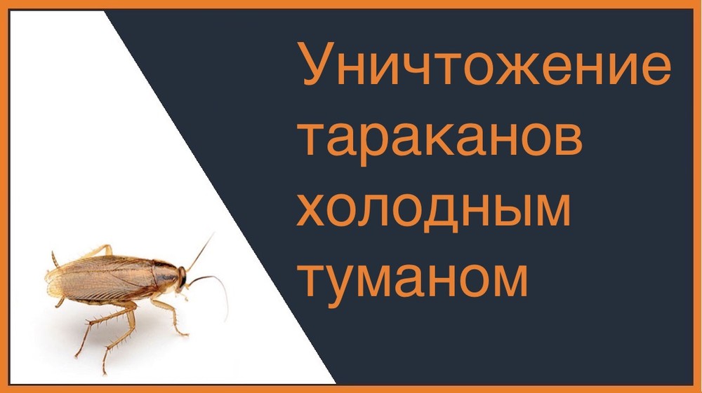 Уничтожение тараканов холодным туманом в Ижевске