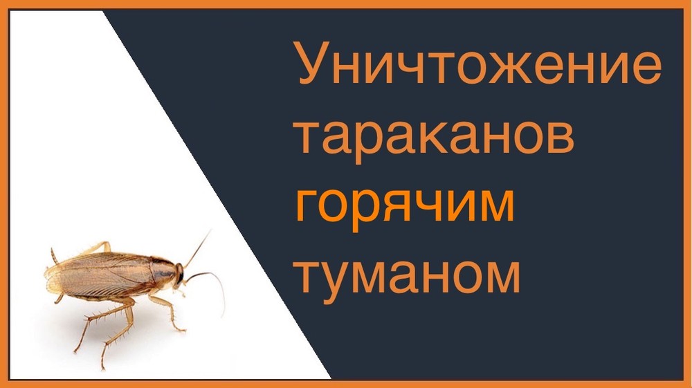 Уничтожение тараканов горячим туманом в Ижевске